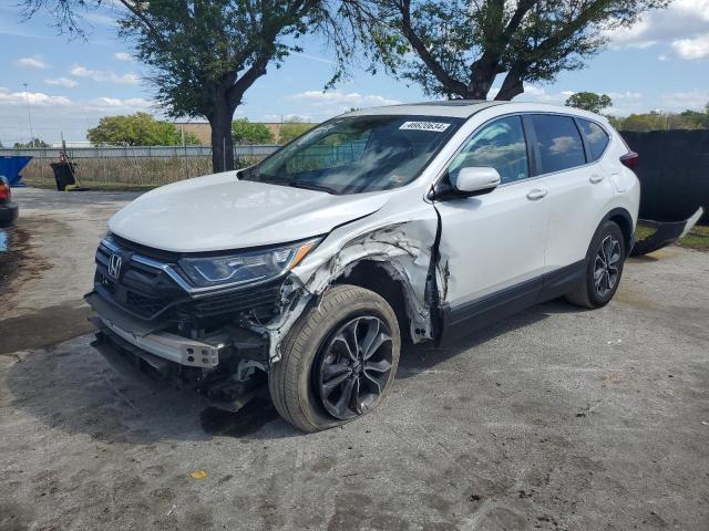 2020 HONDA CR-V EX 2020 image