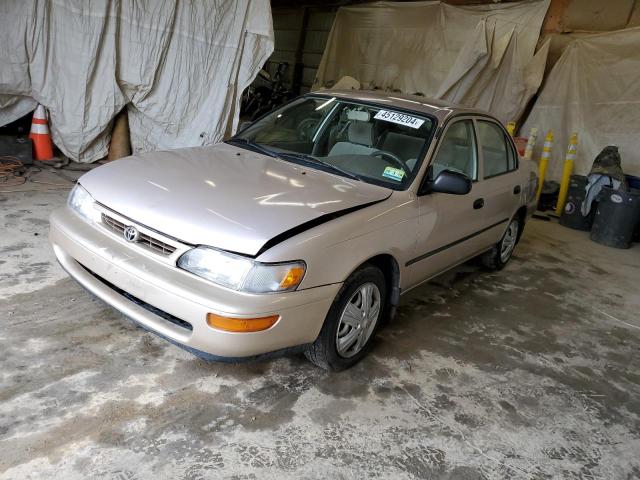 1996 TOYOTA COROLLA  1996 image