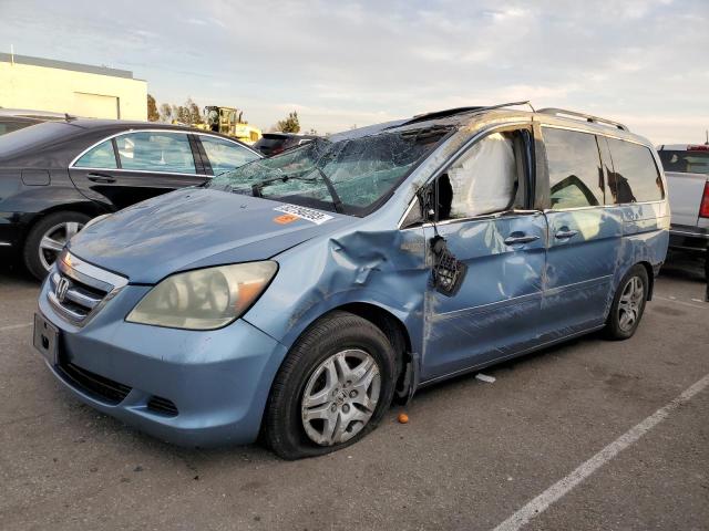 2006 HONDA ODYSSEY EXL 2006 image