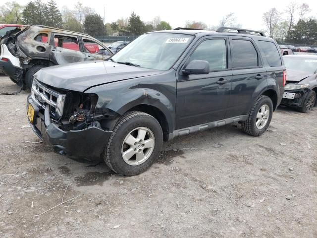 Obraz 2009 FORD ESCAPE XLT 2009