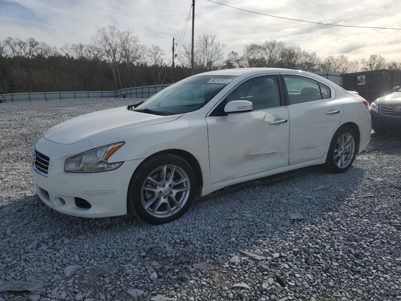 Изображение 1 2009 NISSAN MAXIMA S 2009 с VIN 1N4AA51E89C853241