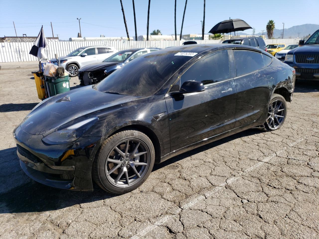 Obraz Tesla Model 3 2022