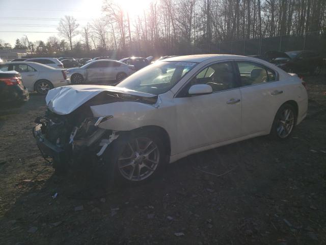 Image 1 of 2011 NISSAN MAXIMA S 2011 with VIN 1N4AA5AP5BC841250