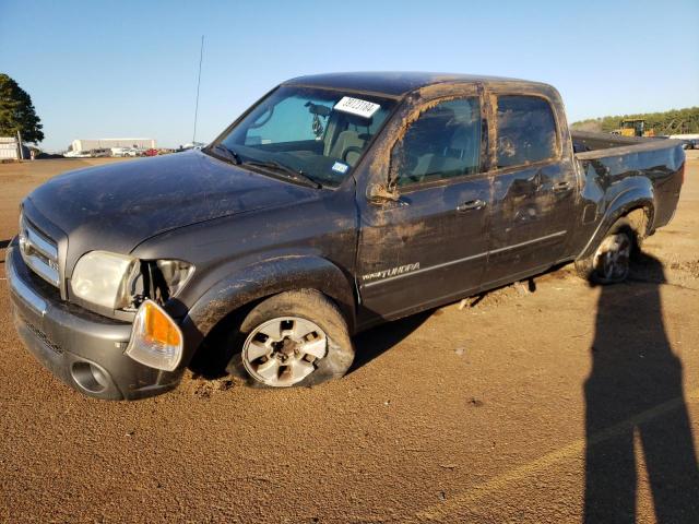 2005 TOYOTA TUNDRA DOUBLE CAB SR5 2005 image