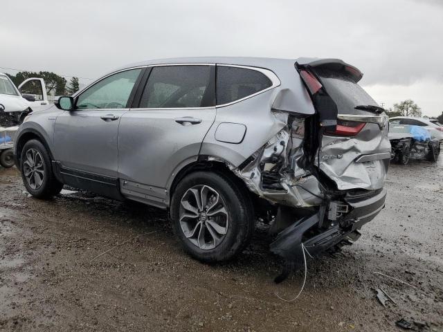 Image 2 of 2020 HONDA CR-V EXL 2020 with VIN 7FART6H89LE026702