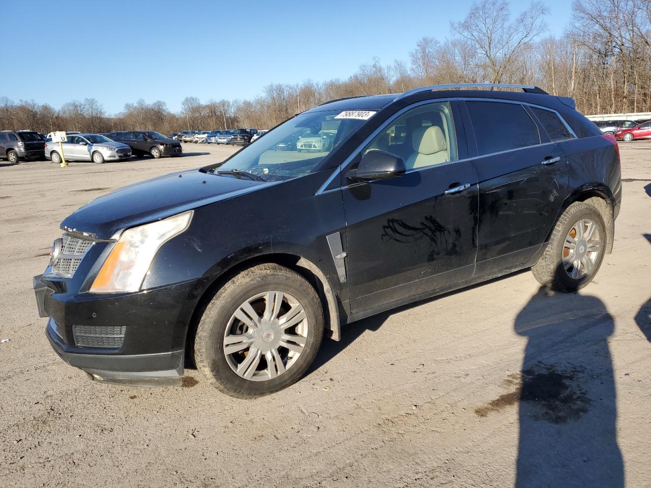 Obraz 2011 CADILLAC SRX LUXURY COLLECTION 2011