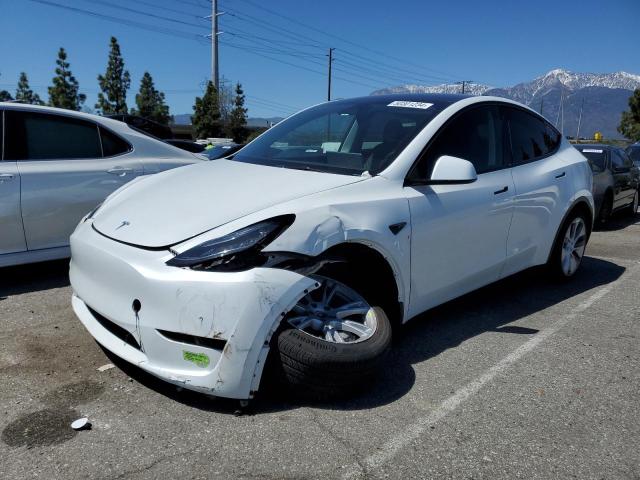 Изображение 2023 TESLA MODEL Y  2023
