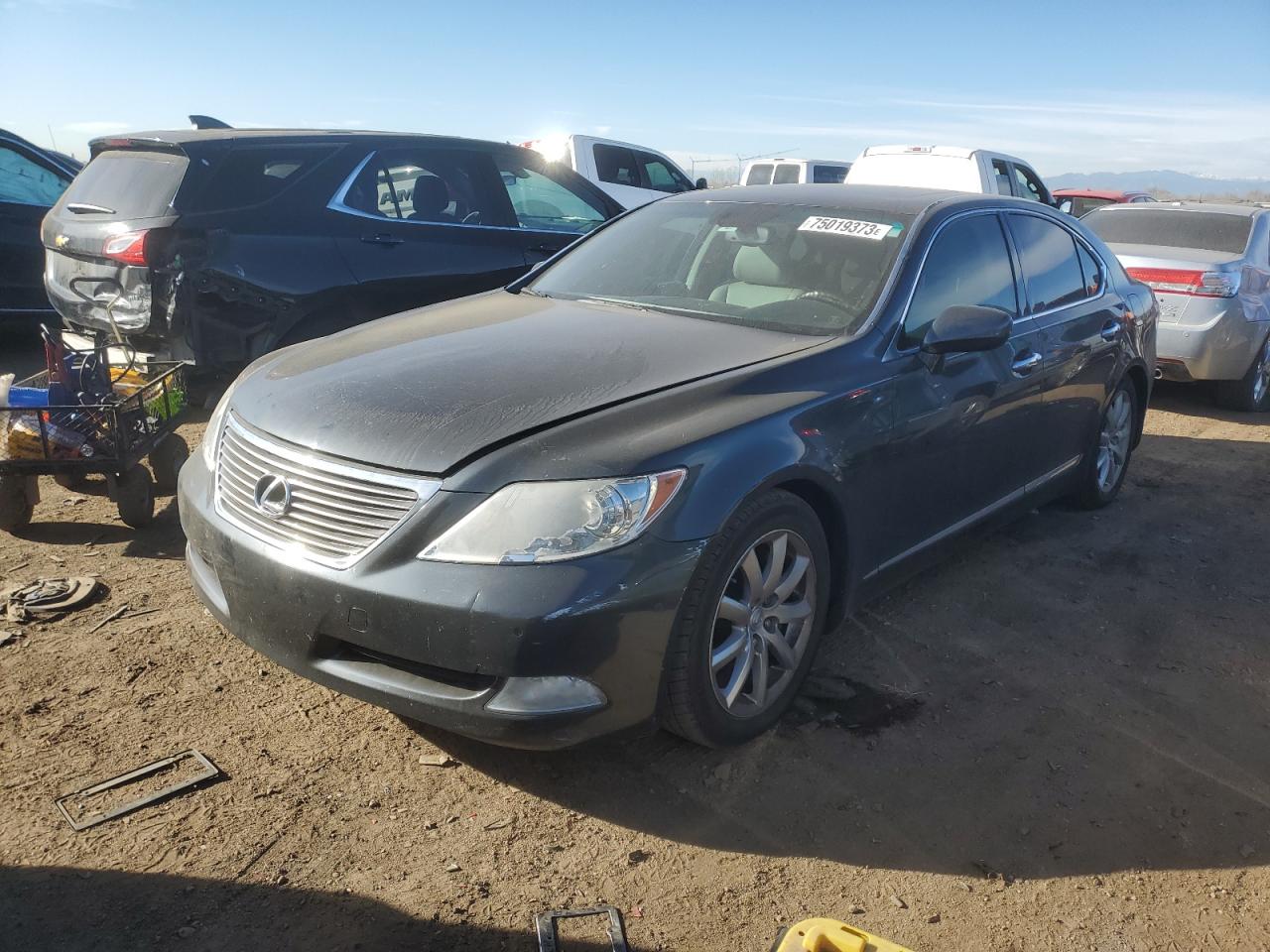 Изображение 2007 LEXUS LS 460 2007