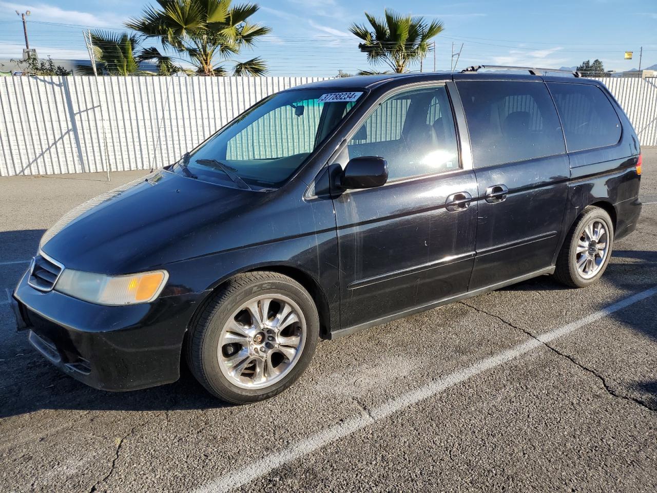 2004 HONDA ODYSSEY EXL 2004 image
