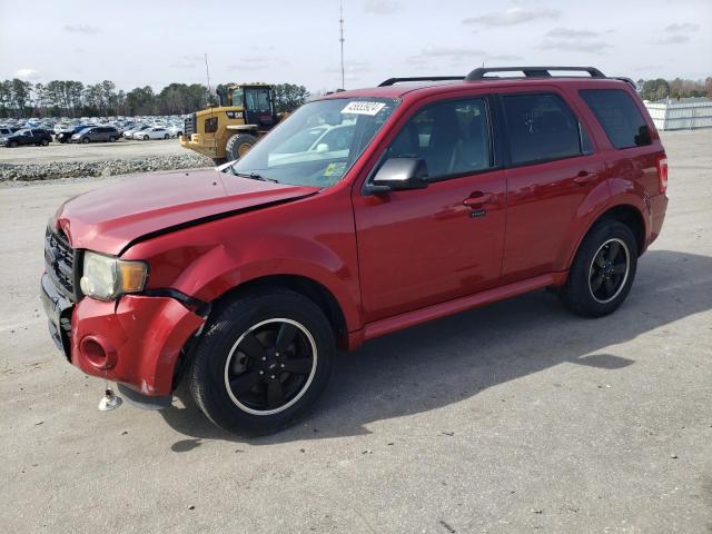 2010 FORD ESCAPE XLT 2010 image