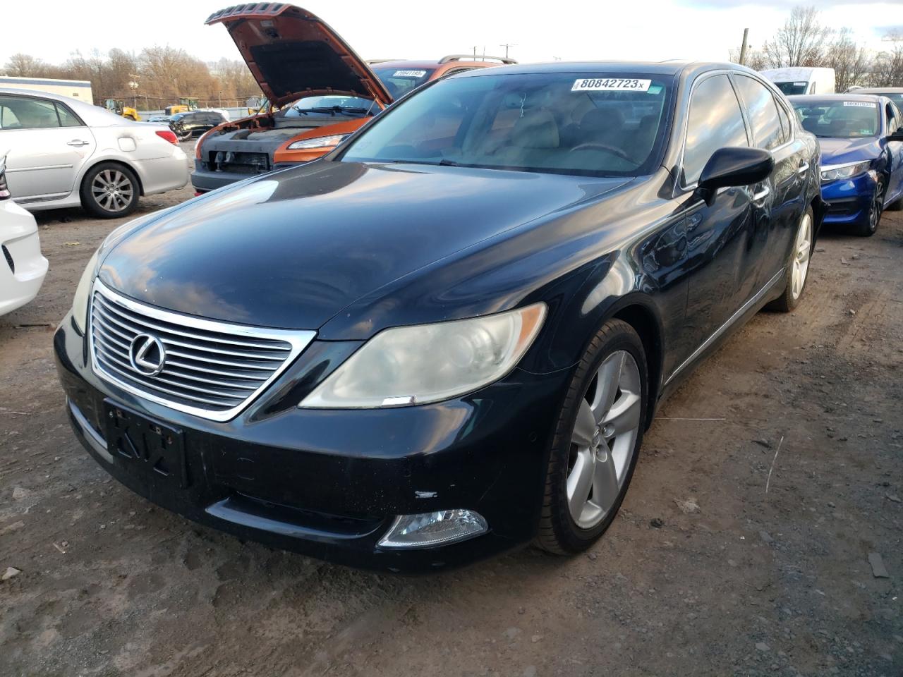 2008 LEXUS LS 460 2008 image