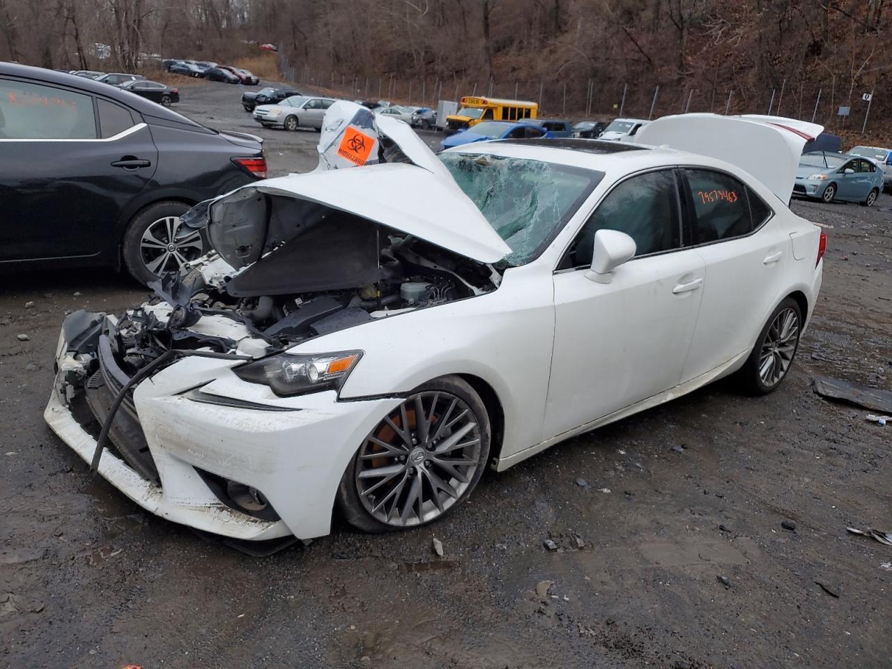 Изображение 2014 LEXUS IS 250 2014