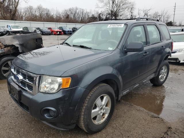 Obraz 2009 FORD ESCAPE XLS 2009