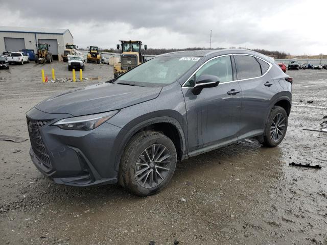 Изображение 2022 LEXUS NX 250 2022