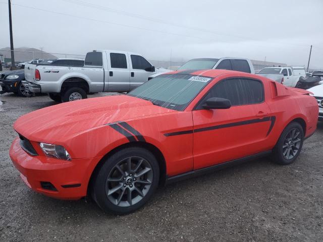 Obraz 2012 FORD MUSTANG  2012