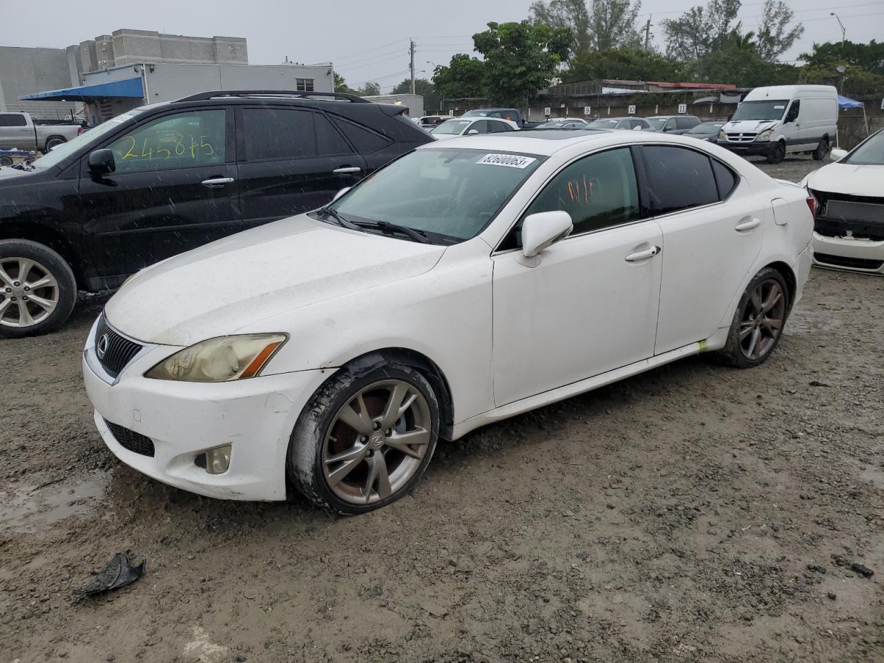 Obraz 2009 LEXUS IS 250 2009