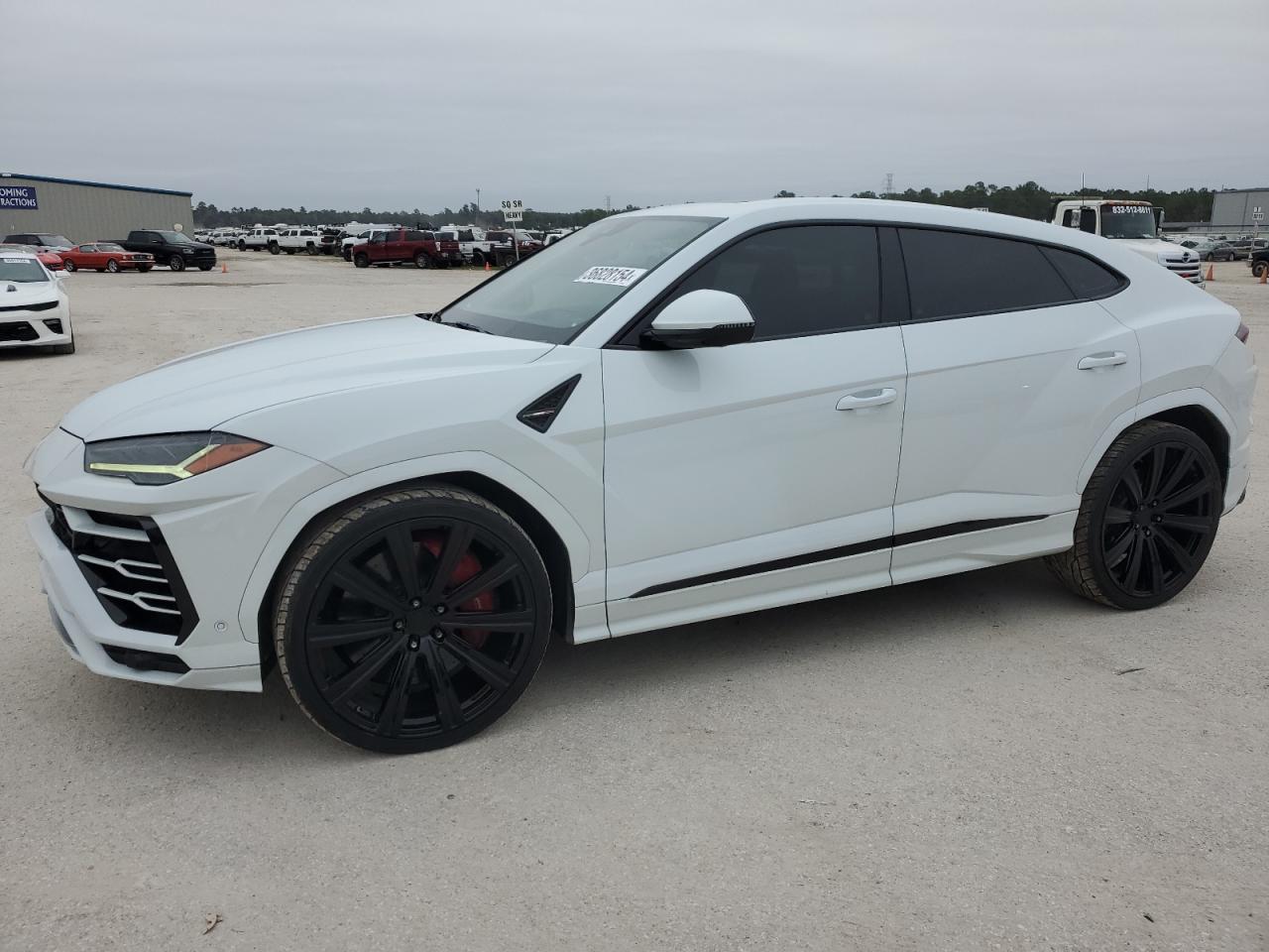 2019 LAMBORGHINI URUS  2019 image