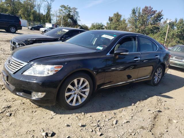 Obraz 2010 LEXUS LS 460 2010