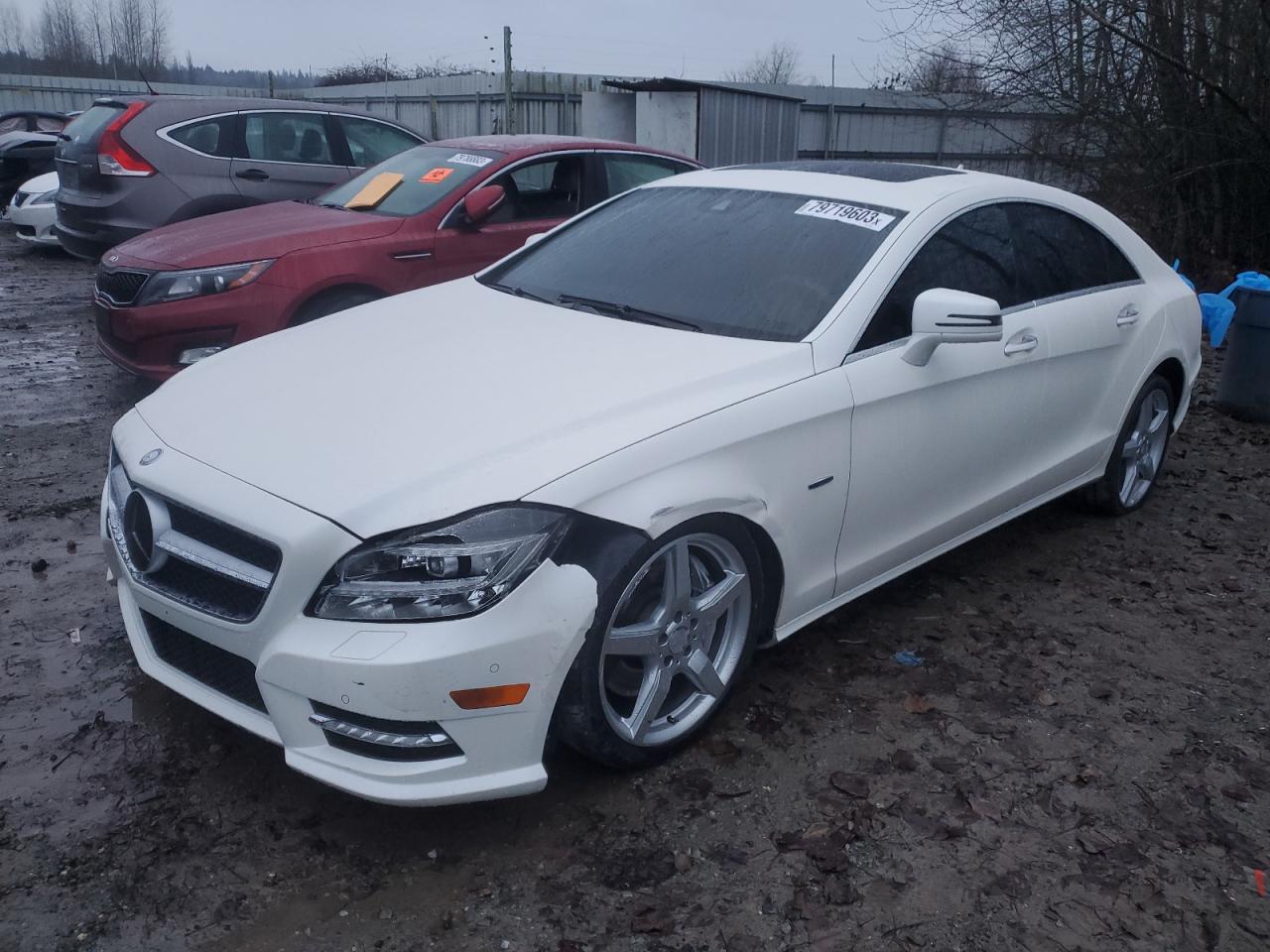 Изображение 1 2012 MERCEDES-BENZ CLS 550 4MATIC 2012 с VIN WDDLJ9BB7CA056180