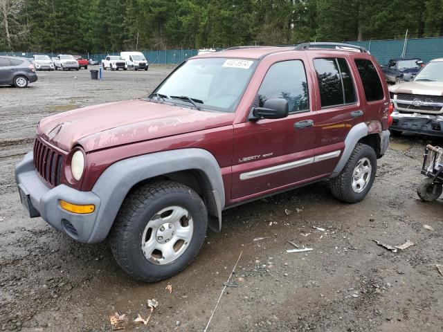 Изображение 1 2002 JEEP LIBERTY SPORT 2002 с VIN 1J4GL48K52W131910