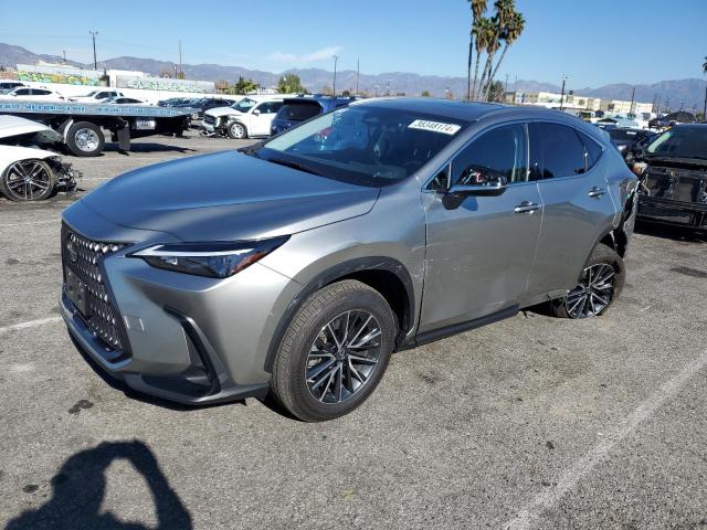 Obraz 2023 LEXUS NX 350H 2023