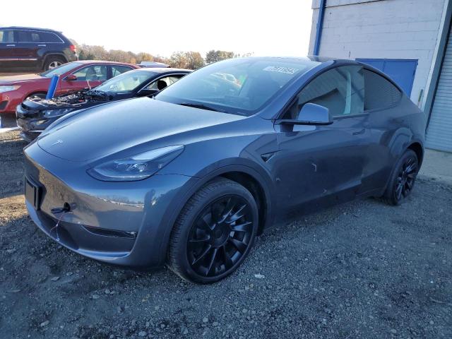2023 TESLA MODEL Y  2023 image