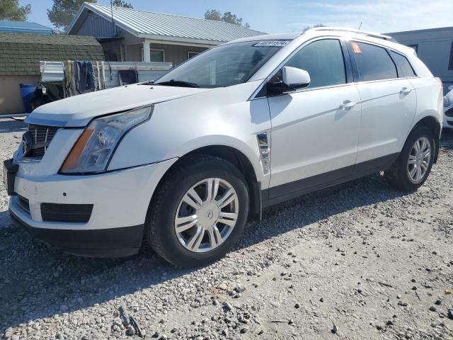 Image 1 of 2012 CADILLAC SRX LUXURY COLLECTION 2012 with VIN 3GYFNAE30CS542159