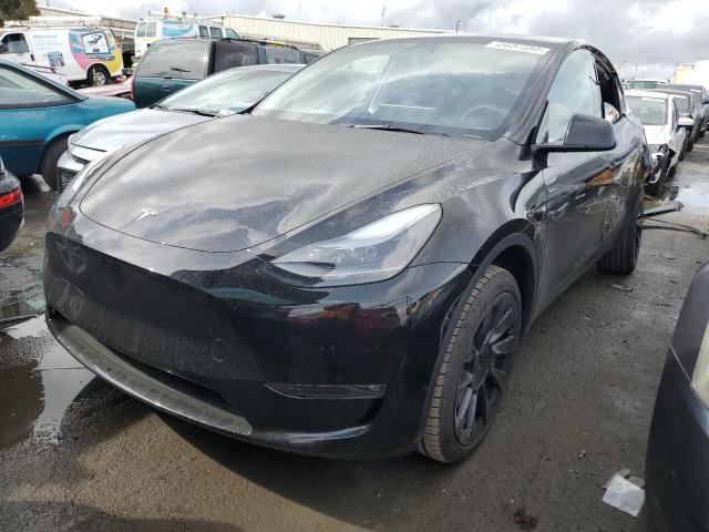 Obraz 2023 TESLA MODEL Y  2023