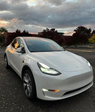 Изображение 2022 TESLA MODEL Y  2022