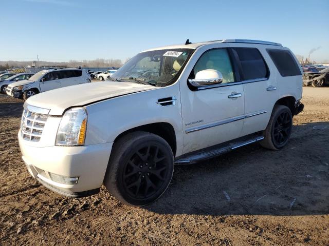 Изображение 1 2014 CADILLAC ESCALADE LUXURY 2014 с VIN 1GYS4BEF1ER178924