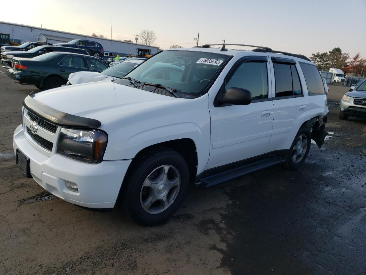 Изображение 1 2008 CHEVROLET TRAILBLAZER LS 2008 с VIN 1GNDT13S682225400