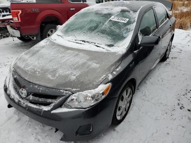 Изображение 1 2012 TOYOTA COROLLA BASE 2012 с VIN 2T1BU4EEXCC841181