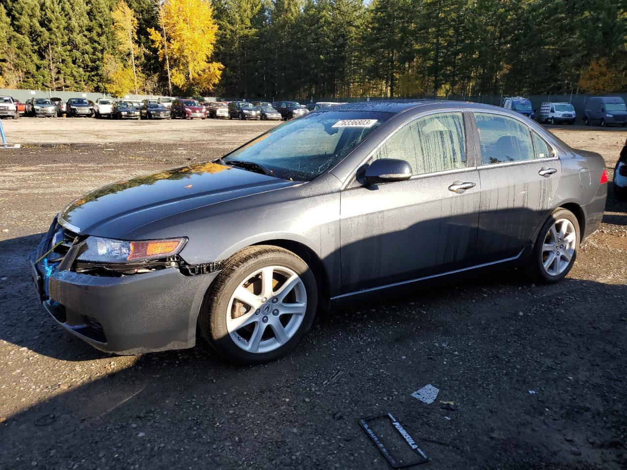 Изображение 1 2004 ACURA TSX  2004 с VIN JH4CL96974C011448