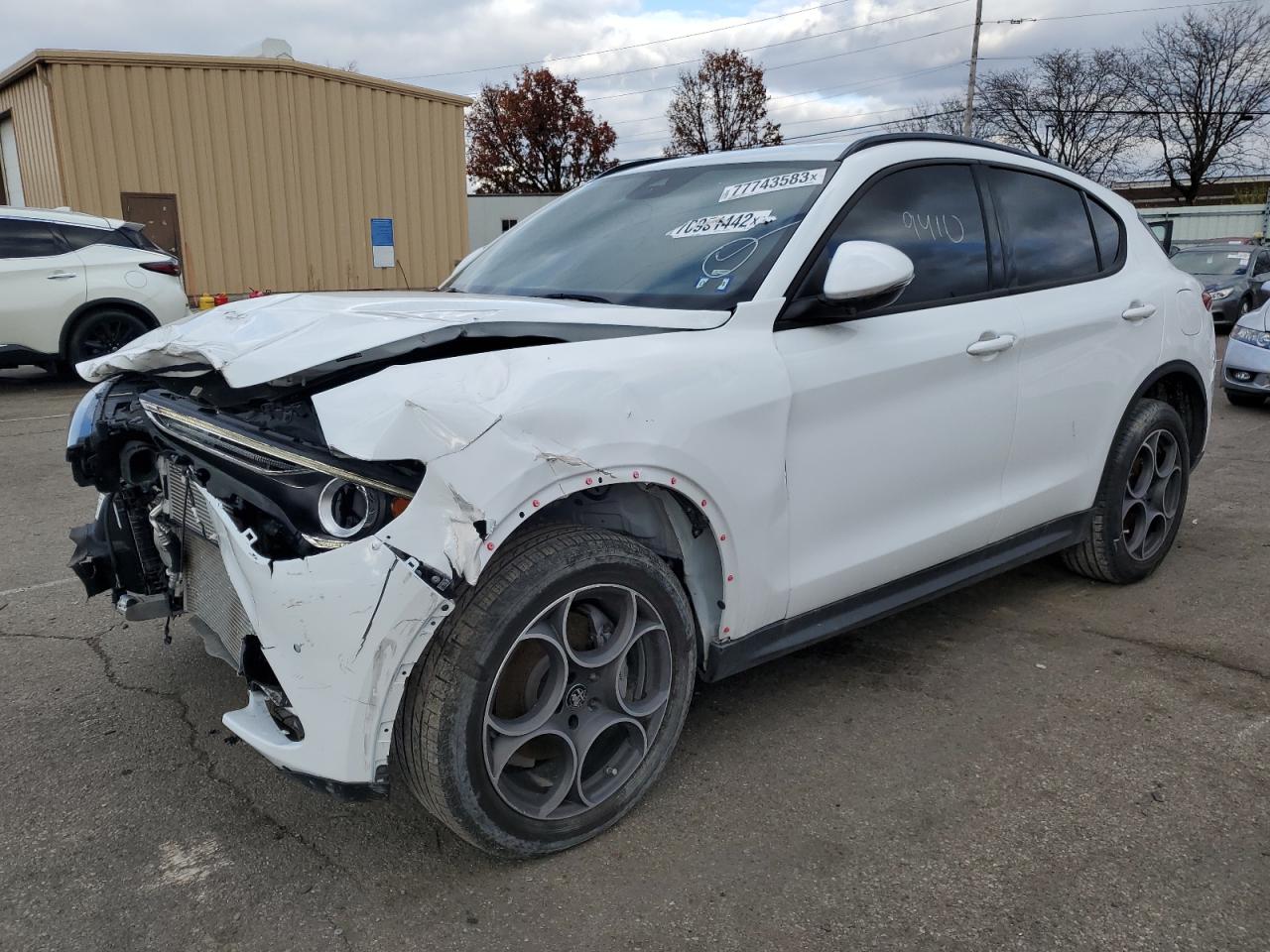 2022 ALFA ROMEO STELVIO  2022 image