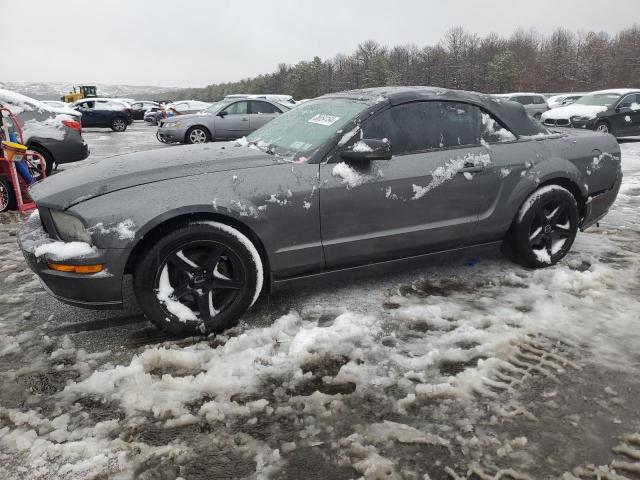 Изображение 1 2005 FORD MUSTANG  2005 с VIN 1ZVFT84N955253539