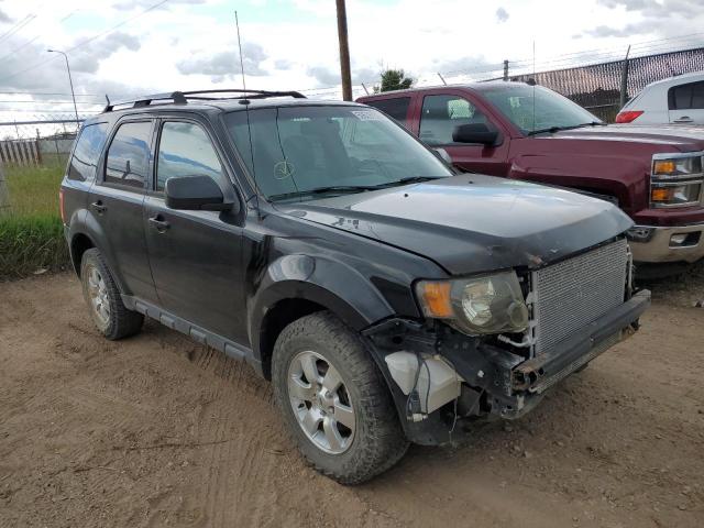 Obraz 2010 FORD ESCAPE LIMITED 2010