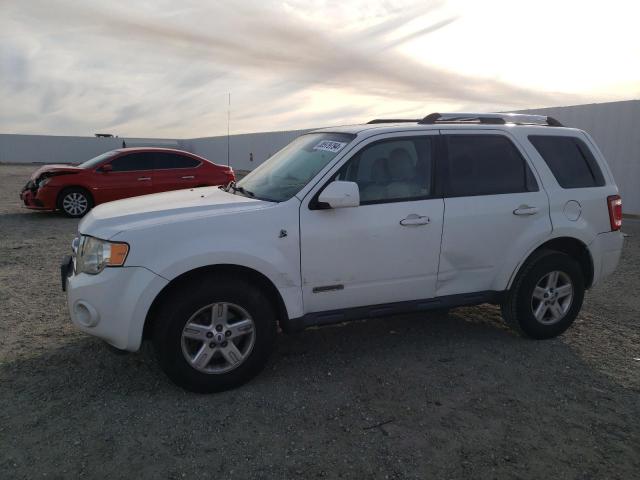 Image 1 of 2008 FORD ESCAPE HEV 2008 with VIN 1FMCU49H38KB35888