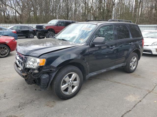 2012 FORD ESCAPE XLT 2012 image