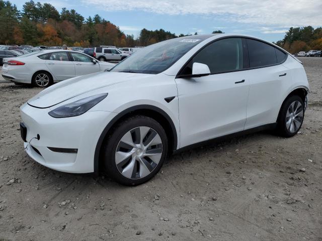 Obraz 2023 TESLA MODEL Y  2023