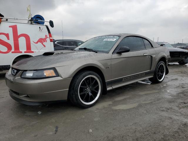 Изображение 1 2002 FORD MUSTANG GT 2002 с VIN 1FAFP42X32F191460