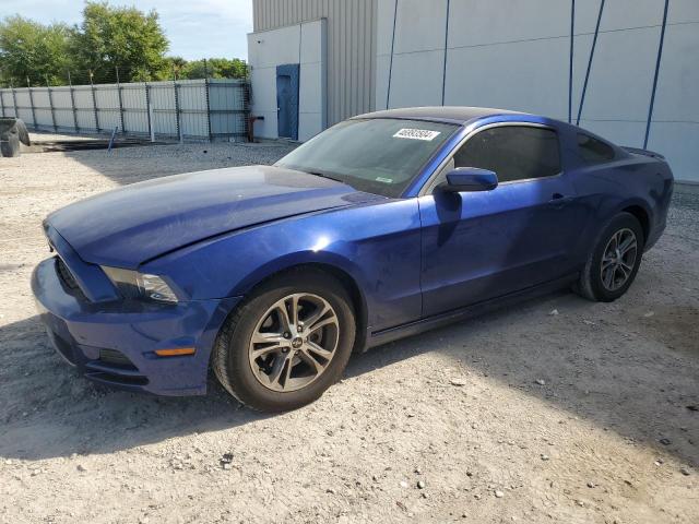 2013 FORD MUSTANG  2013 image