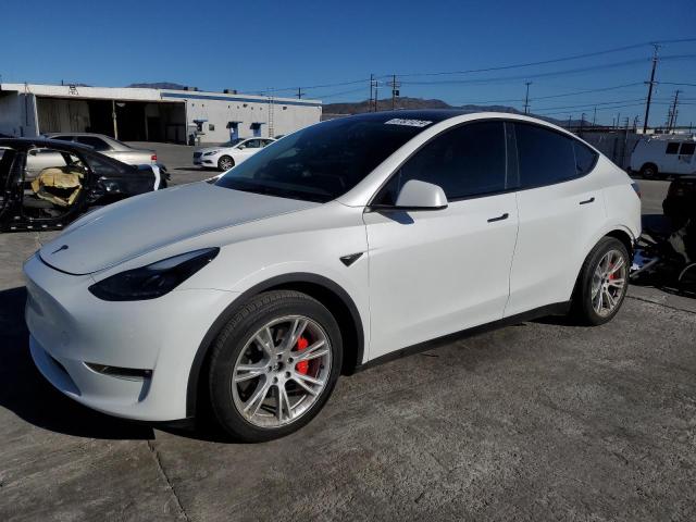 2023 TESLA MODEL Y  2023 image