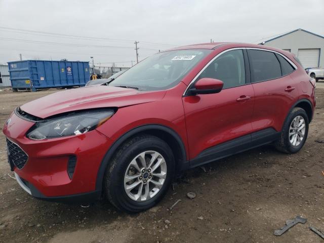 2020 FORD ESCAPE SE 2020 image