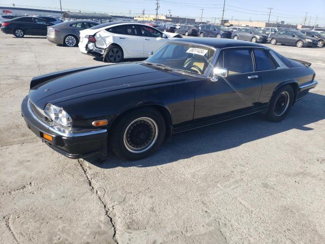 Obraz 1985 JAGUAR XJS  1985