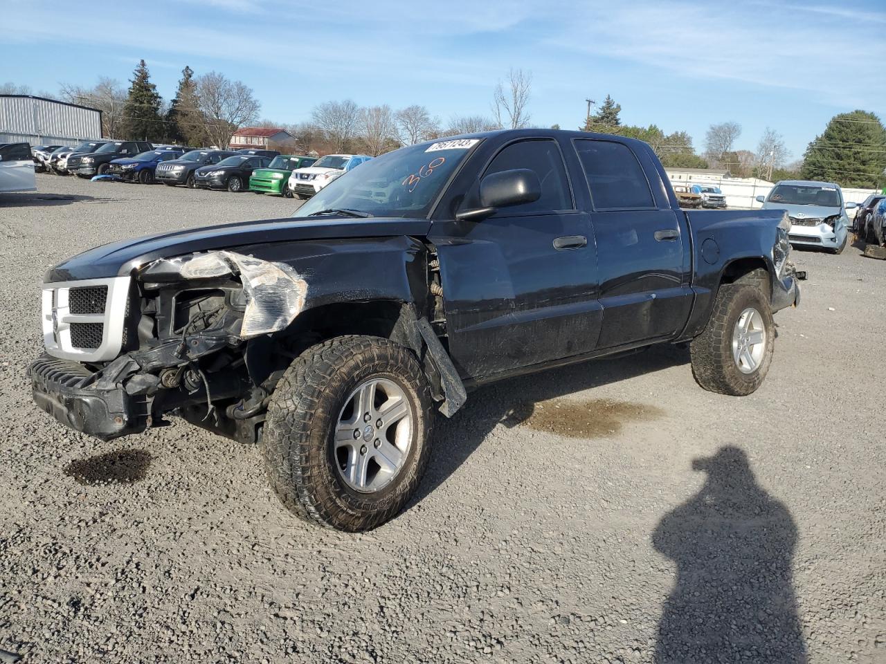 Obraz 2011 DODGE DAKOTA SLT 2011