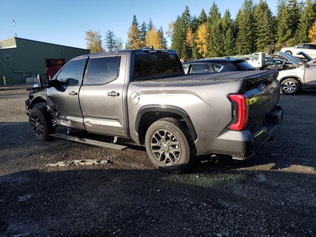 Image 2 of 2022 TOYOTA TUNDRA CREWMAX PLATINUM 2022 with VIN 5TFNA5DBXNX052021
