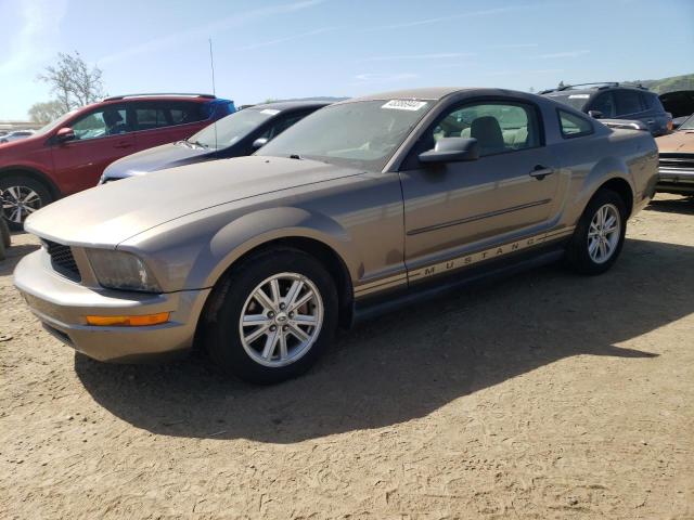 2005 FORD MUSTANG  2005 image