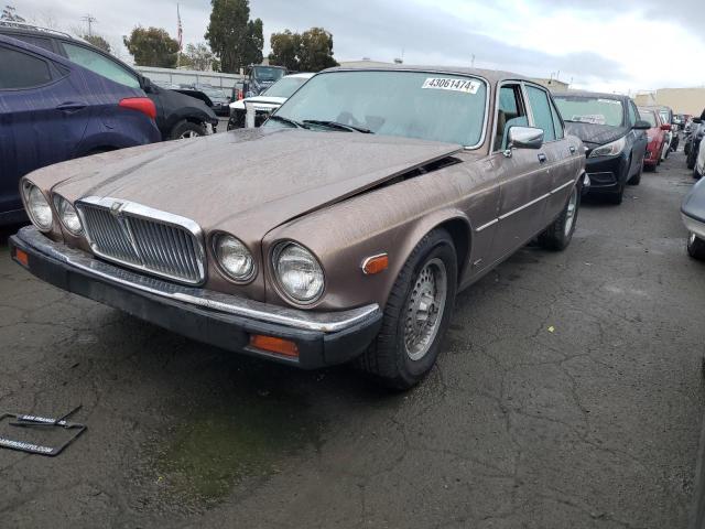 Image 1 of 1985 JAGUAR XJ SOVERGN 1985 with VIN SAJJDALW4CC425506