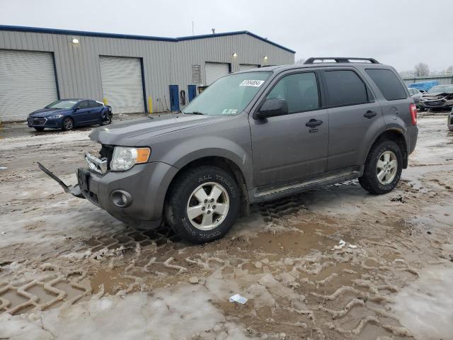 2012 FORD ESCAPE XLT 2012 image