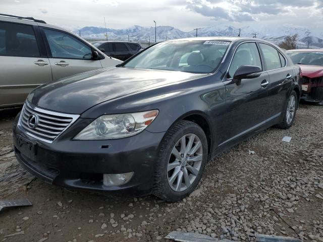 2010 LEXUS LS 460 2010 image
